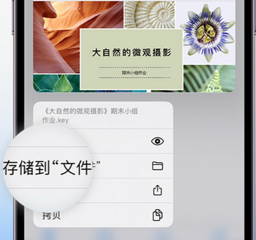 丹江口apple维修中心分享iPhone文件应用中存储和找到下载文件