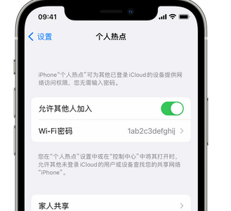 丹江口apple服务站点分享iPhone上个人热点丢失了怎么办