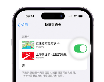 丹江口apple维修点分享iPhone上更换Apple Pay快捷交通卡手绘卡面 