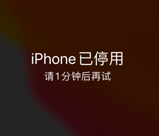 丹江口苹果手机维修分享:iPhone 显示“不可用”或“已停用”怎么办？还能保留数据吗？ 