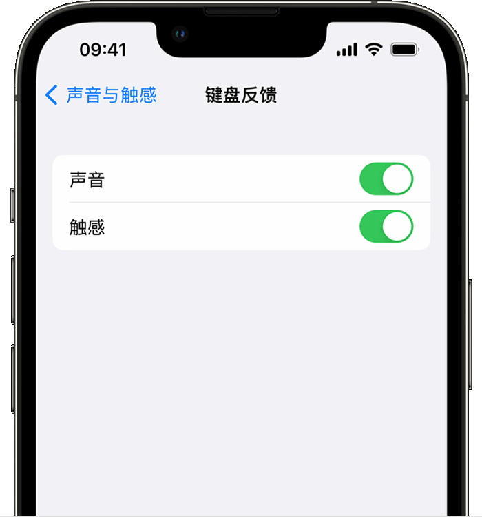 丹江口苹果14维修店分享如何在 iPhone 14 机型中使用触感键盘 