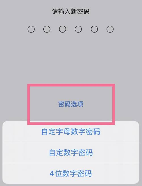 丹江口苹果14维修分享iPhone 14plus设置密码的方法 