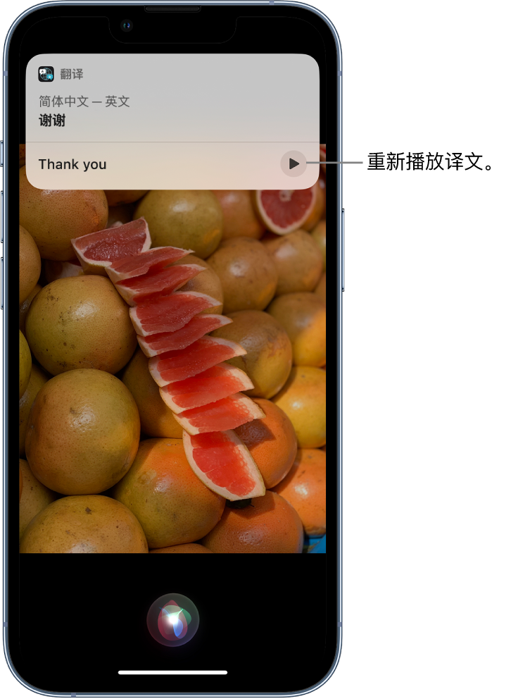 丹江口苹果14维修分享 iPhone 14 机型中使用 Siri：了解 Siri 能帮你做什么 