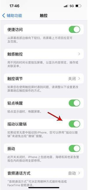 丹江口苹果手机维修分享iPhone手机如何设置摇一摇删除文字 