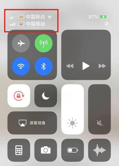 丹江口苹果手机维修分享为 iPhone 12 双卡设置标签 